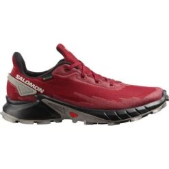Shoe Style Shop -Shoe Style Shop Salomon Alphacross 4 GTX M 1