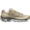 Salomon XT-6 Clear - Safari/Magnet/Vanilla Ice -Shoe Style Shop Salomon XT 6 Clear Safari Magnet Vanilla Ice
